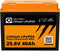 LIONTRON LiFePO4 batterij Smart BMS 25.6V, 40Ah - volledige vervanging voor 24 volt loodbatterijen
