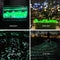 Glow In The Dark Stenen - Decoratie Steentjes - Aquarium Steentjes - Groen