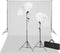 vidaXL - Studioset - met - witte - achtergrond - en - lampen - 600x300 - cm