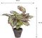Mica Decorations Begonia - Kunstplant met gekartelde bladeren - H40 x Ø38 cm - Rood