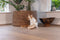 Designed by Lotte Winni - Kattenspeelgoed - Hout - Wiebelend effect - Bruin - 22x22x30 cm