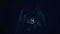 THQ Nordic REANIMAL - Collector's Edition - PS5 - Co-op horror avontuur (18+)