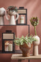 House of Seasons Saga Lantaarn - L19 x B18,5 x H30 cm - Zwart
