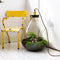 Growing Concepts DIY Duurzaam Ecosysteem Giants Ecolight XXXL - 34 Liter - Planten - Botanische Mix - H52xØ48cm