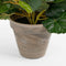 Mica Decorations Begonia - Kunstplant - 25 cm - Zalmroze