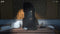 Mindscape Blue Prince - PS5 - Puzzelspel - Inclusief poster en soundtrack