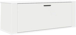 vidaXL Wandschoenenkast - 100x35x38 cm - 2 vakken - Wit