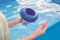 Bestway Flowclear - Onderhoudsset - 4-delige steel en chemische vlotter - Blauw