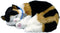 Perfect Petzzz Soft Lapjeskat