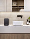 Bluesound PULSE FLEX - Draadloze Streaming Speaker - Hi-res muziek streaming - Zwart