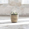 Plantenbak Rotan - Ø38cm - Naturel Bruin - Drypot Bloemenmand Streep - Het Mandenhuys