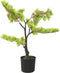 vidaXL - Kunstplant - met - pot - cipres - bonsai - 60 - cm - groen