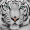 Craft Buddy Crystal Art Witte Tijger 30x30 cm