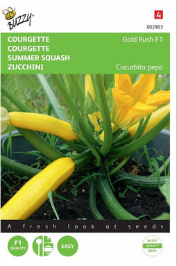 2 stuks - Buzzy - Zucchini Gold Rush F1
