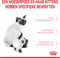 Royal Canin Mother & Babycat - Kitten-Kattenvoer - 4 kg