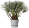 Elho Greenville Rond 40 - Grote Bloempot voor Buiten - Waterreservoir - Living Concrete - Ø 39 x H 36.8 cm