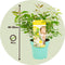 Plant in a Box - Eucalyptus 'Citriodora' - Eucalyptusstruik - ⌀19cm - Hoogte 35 cm - Citroengeur - Tegen muggen