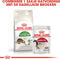 Royal Canin Outdoor - Kattenvoer - 400 g