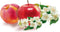 Rubson Navullingen Sensation Fruit 2x 300 g Box Rubson Vochtopnemer Toestel | Vochtvanger | met Sensation Fruit Geur