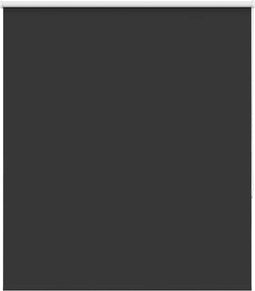 vidaXL - Rolgordijn - verduisterend - 120x175 - cm - stofbreedte - 116,6 - cm - zwart