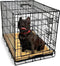 Gopets Hondenbench - Opvouwbaar - Incl. Kussen - 76 x 48 x 53 cm - Zwart