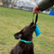 Hondenhalsband Dingo 14753 Groen 37 cm 61 cm