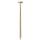 Woodies Ultimate 8.0x220/80 tellerkop T-40 shield - 61981801