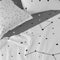 Dekbedovertrek Constellation | Blanc
