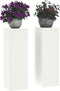 vidaXL - Plantenstandaards - Poort - - - 2 - stuks - - - Wit - - - 24x24x75 - cm - - - Staal