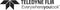 FLIR VP52-2: FLIR contactloze spanningsdetector en zaklamp, 190-1000VAC