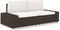 vidaXL - Tweezitsbank - sectioneel - poly - rattan - bruin