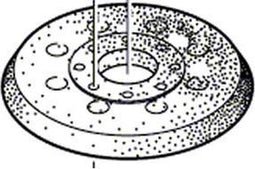 Bosch Accessoires Schuurplateau | 125 mm | Voor Bosch GEX 125-1 AE - 1600A01CU1