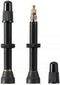 Ritchey - Tubless Ventiel 45MM Zwart- 2 Stuks