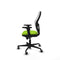 Piqueras y Crespo 2D036G0 - Gaming stoel - Hoogteverstelbaar met armleuning - Pistache