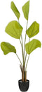 Mica Decorations Kunstplant Palm - 60x60x110 cm - Polyester - Groen