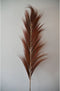 Decoratieve veer - 65x1.2-2x175 - Cognac - Bamboe