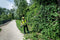 Metabo MA 36-18 LTX BL Q - Multifunctionele snoerloze aandrijving 36 V - Brushless Solo (601725850) (zonder accu zonder oplader)
