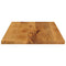 Tafelblad rechthoekig 70x60x3,8 cm massief mangohout