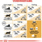 Royal Canin British Shorthair - Kattenvoer Brokjes - 2 kg