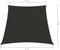 vidaXL - Zonnescherm - trapezium - 3/4x3 - m - oxford - stof - antracietkleurig