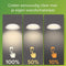 Philips Pebblo plafondlamp - Ultra Efficient - SceneSwitch - 10W - warmwit licht - Zwart met goud design
