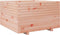 vidaXL - Plantenbak - 80x80x49,5 - cm - massief - douglashout
