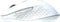 MOBILITY LAB Omega - Draadloze muis - Bluetooth en 2,4GHz - Stille klikken - Wit