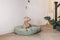 Designed by Lotte Yndis - Hondenkussen - Ovaal - Groen - 115x85x15 cm