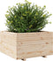 vidaXL - Plantenbak - 80x80x49,5 - cm - massief - grenenhout