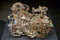 Ugears Knikkerbaan #3 Tiered Hoist