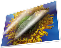 Kangaro lamineerhoezen - A4 - 100 micron - glanzend - 100 stuks - K-16008