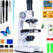 Silvergear Microscoop Set - Microscoop voor Kinderen - 200x tot 1200x Vergroting - 29 Accessoires