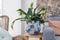 TS Collection - Bloempot Dutch blue - 24x21 - Metaal & Epoxy - Exclusieve woonitems voor binnen - Handgemaakt - Unieke print - Designed by Lammie