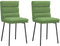 vidaXL - Eetkamerstoelen - 2 - st - fluweel - lichtgroen